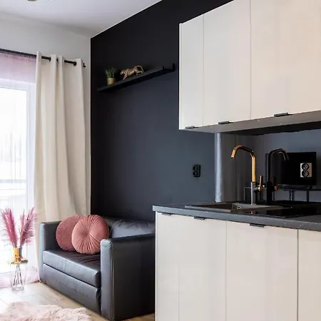 Wyjatkowy Z Prysznicem Posrodku Na Wyjatkowe Wieczory Apartament Łódź